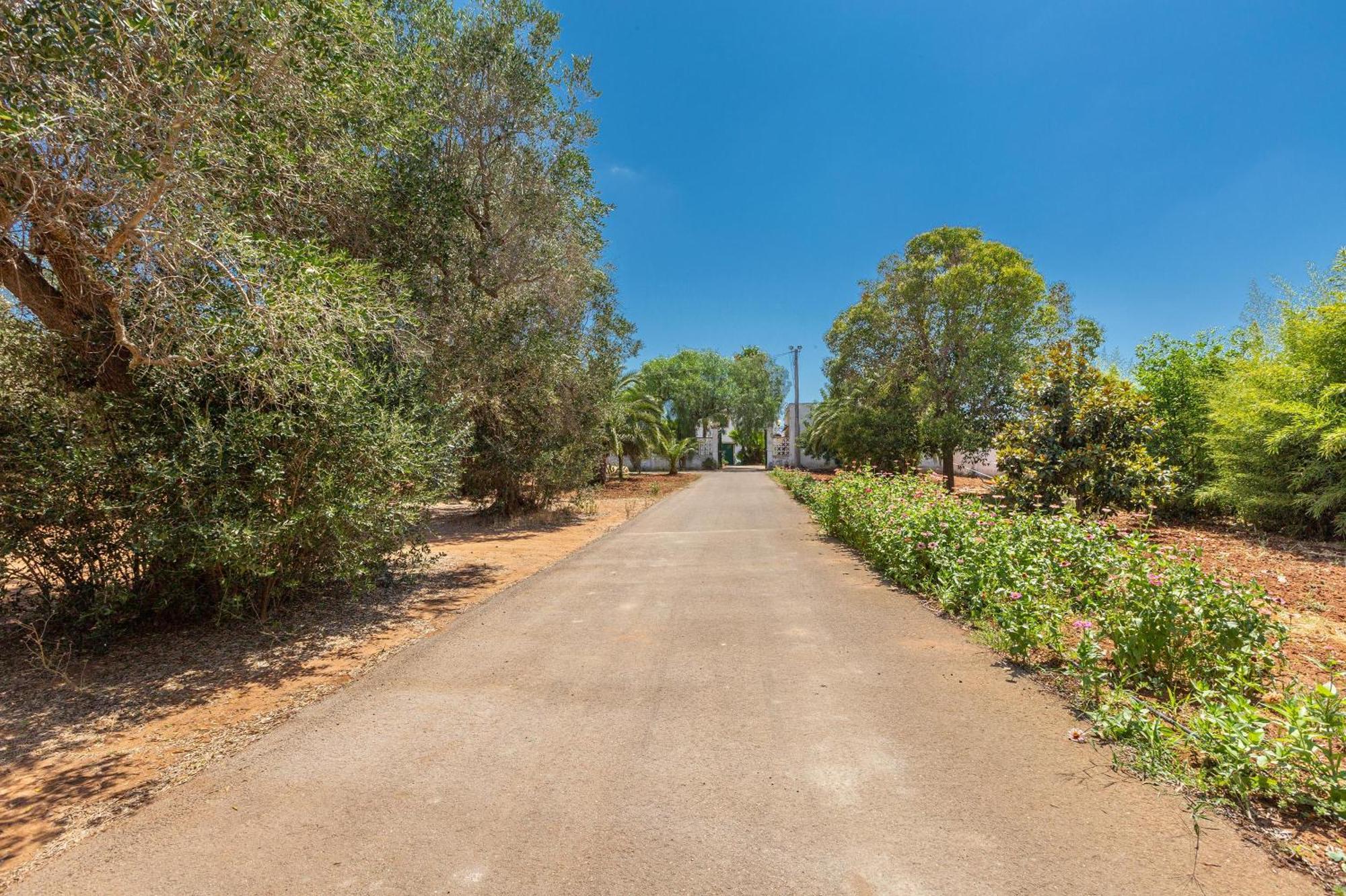 Masseria Sierri By Perle Di Puglia San Pancrazio Salentino Εξωτερικό φωτογραφία